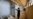 Syrian former prisoners speak out on Assad regime's collapse