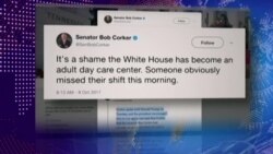 Трамп критикует Коркера и защищает Пенса