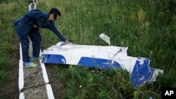 Seorang warga mengamati potongan pesawat MH17 yang tidak dibawa dari lokasi jatuhnya pesawat Malaysia Airlines tersebut, di dekat desa Hrabove Ukraina timur (14/7). (AP/Mstyslav Chernov)