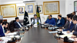 کابینہ کی ذیلی کمیٹی نے نواز شریف کا نام ای سی ایل سے نکالنے پر غور کیا۔