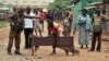 In Central African Republic, 'Impunity on Staggering Scale'