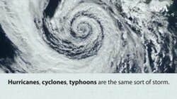 Explainer: What Is a Hurricane?