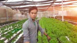 បទ​សម្ភាសន៍ VOA៖ ហាង​ផ្សារ​ខ្មែរ​និង​វិធី​ជួយ​បង្កើន​បន្លែ​សុវត្ថិភាព​នៅ​កម្ពុជា