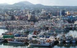 Kapal nelayan berlabuh di pelabuhan di selatan pulau Jeju, 25 Agustus 2020, saat Topan Bavi bergerak menuju kawasan Korea Selatan.
