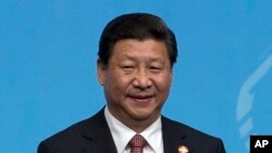 中國國家主席習近平（資料照片）