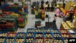 台灣屏東的工人正在一個貨倉裡整理裝箱鳳梨。（2021年3月16日）
