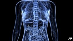 If detected early, cervical cancer can be removed through surgery, said Taing Tek Hong, a Florida-based physician, as a guest on “Hello VOA.”