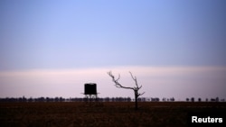 FILE - A dead tree stands near a water tank in a drought-stricken paddock located on the outskirts of the southwestern Queensland town of Cunnamulla in outback Australia, Aug. 10, 2017.