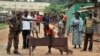 Accusations de viols en Centrafrique par des soldats français : nouvelles auditions demandées