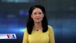 Viêm gan siêu vi B