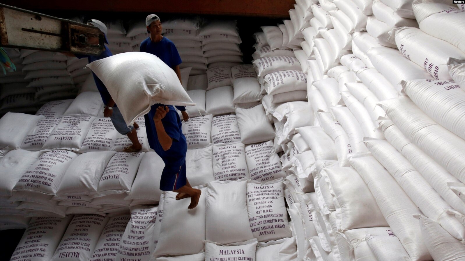 Vietnam Plans to Cut Rice Exports by 2030