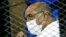 FILE - Sudan's ousted President Omar al-Bashir is seen inside the defendant's cage during his and some of his former allies' trial over the 1989 military coup that brought him to power in 1989, at a courthouse in Khartoum, Sudan, Sept. 15, 2020.