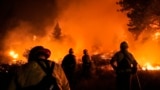 Sejumlah petugas pemadam kebakaran berusaha memadamkan api yang berkobar di dekat wilayah perumahan warga di Wrightwood, California, pada 10 September 2024. (Foto: AP/Jae C. Hong)