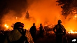 Sejumlah petugas pemadam kebakaran berusaha memadamkan api yang berkobar di dekat wilayah perumahan warga di Wrightwood, California, pada 10 September 2024. (Foto: AP/Jae C. Hong)