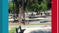 Ameriken yo komemore Jedi 11 Novvanm nan jou Veteran yo