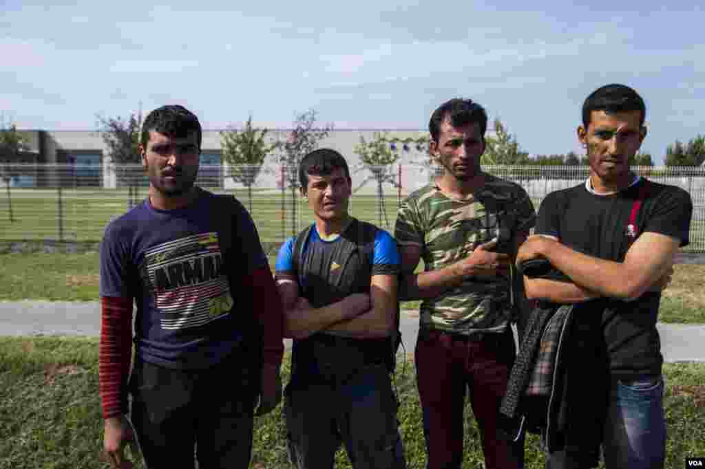 A group of Afghan men crossed the Hungarian border illegally Tuesday. Tired, hungry, and desperate, they handed themselves over to the police, Sept. 15, 2015. (A. Tanzeem/VOA)