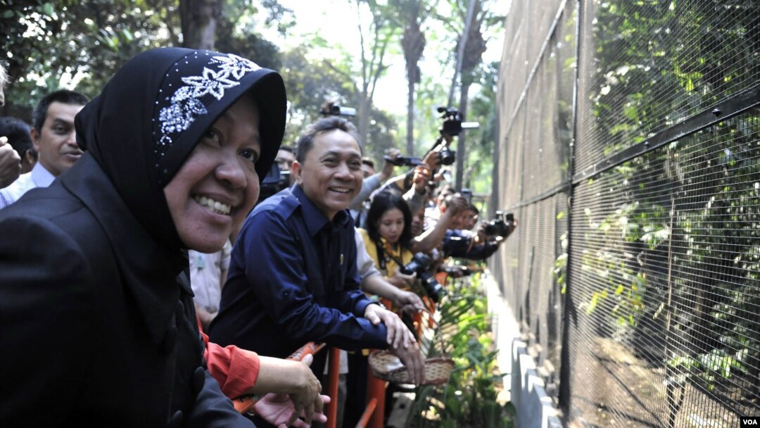 Menteri Kehutanan Zulkifli Hasan dan Walikota Surabaya Tri Rismaharini melihat kondisi kandang di Kebun Binatang Surabaya, Senin (18/8). (VOA/Petrus Riski)