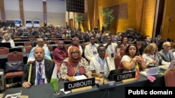 Qaar ka mid ah wufuudda ka qeybgaleysa shirka caalamiga ah ee dhaqanka ee ka socda magaalada Asunción.