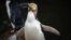 Seekor penguin hoiho atau penguin bermata kuning yang difoto pada 2 April 2023, memenangkan pemilihan Burung Tahun Ini di Selandia Baru pada 16 September 2024. (Hayden Parsons via AP)