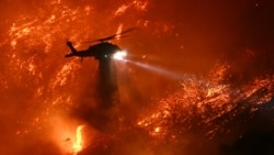 Helikopter pemadam kebakaran menjatuhkan air saat kebakaran Palisades meluas di dekat Mandeville Canyon dan Encino, California, pada 11 Januari 2025. (Foto: AFP)