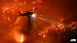 Helikopter pemadam kebakaran menjatuhkan air saat kebakaran Palisades meluas di dekat Mandeville Canyon dan Encino, California, pada 11 Januari 2025. (Foto: AFP)