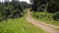 South Sudan road construction