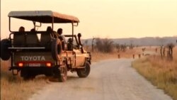 Cecil Cubs Alive and Well In Hwange National Park