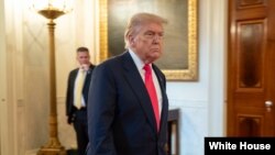 د امریکا ولسمشر دونالډ ټرمپ