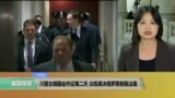 VOA连线：川普女婿国会作证第二天，众院表决俄罗斯制裁法案