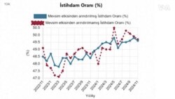 Sorğu: Türkiyədə işsizlik səviyyəsi azalıbmı?