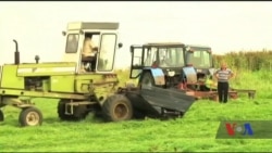 Американці допоможуть українським фермерам наростити експорт. Відео