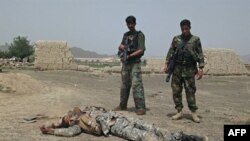ავღანეთში 24 მეამბოხე მოკლეს