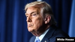 د امریکا ولسمشر ډونالد ټرمپ