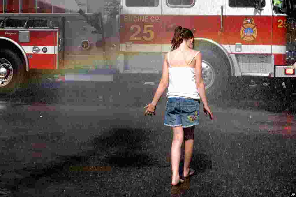 [메모리얼 데이] 이모저모