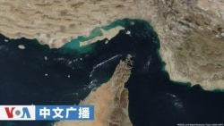 美国之音中文广播 (2026年4月14日)