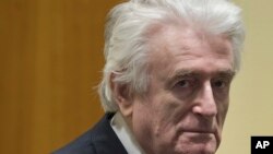 Radovan Karadžić