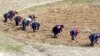 [특파원 리포트] “북한 농업개혁 조치 작동 안해...비핵화·경협·농업 개혁으로 이어지는 선순환 구도 필요”