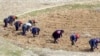 [뉴스 동서남북] 북한 식량난 “함경도, 양강도 최악”