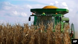 Petanis AS di Loami, Illinois bekerja di ladang jagungnya (foto: ilustrasi). 