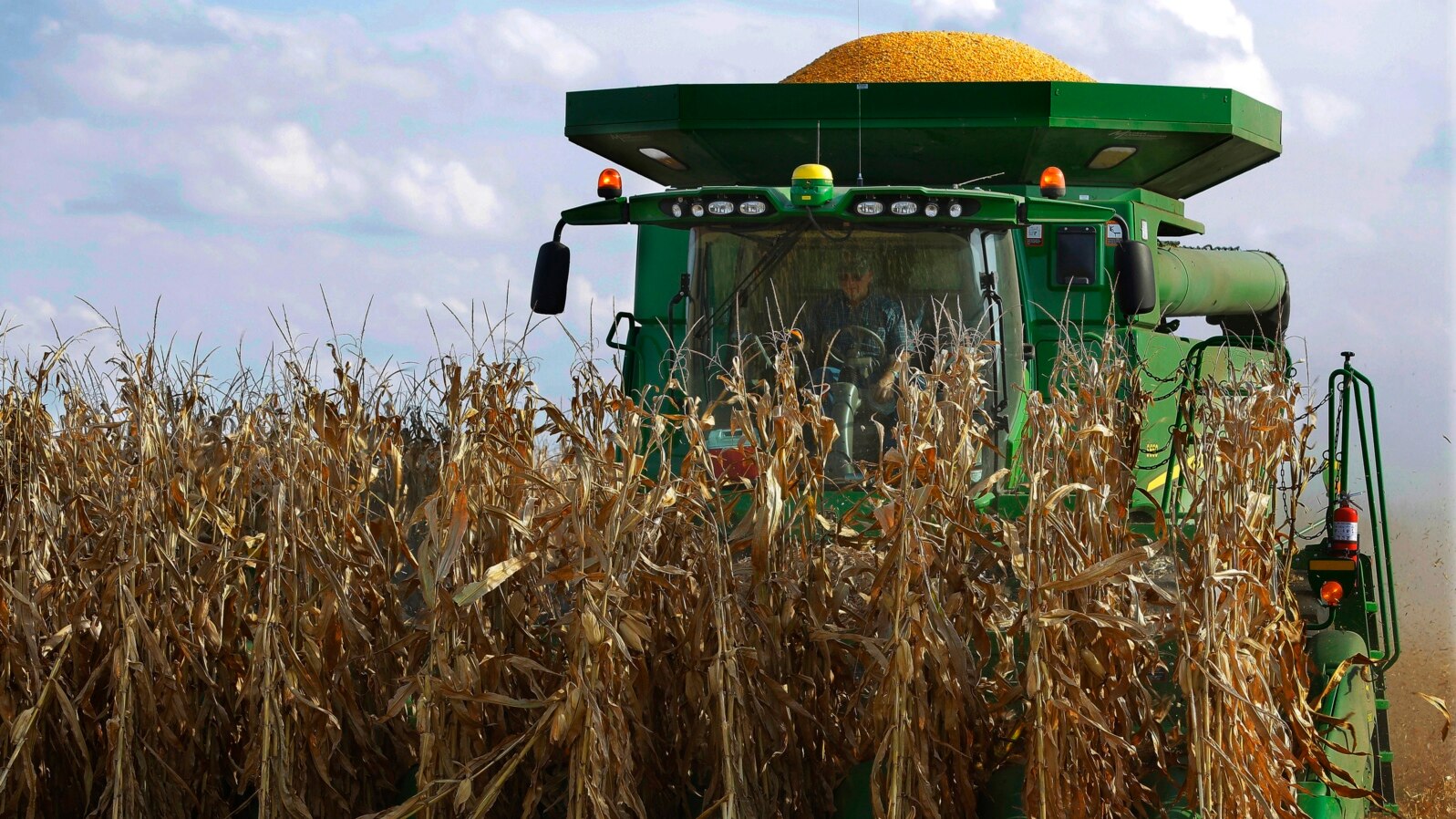 Central Illinois farmers harvest their corn crops, Sept. 14, 2016, in Loami, Illinois. 