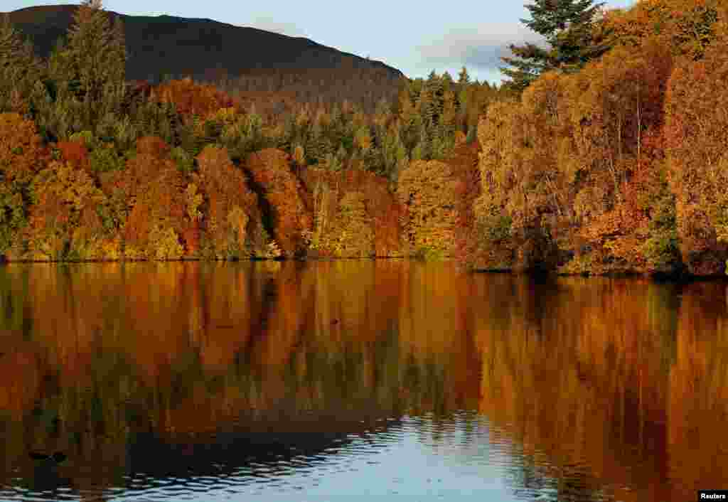 Autumn leaves are reflected on Loch Faskally, a man-made reservoir in Pitlochry, Scotland, Britain.