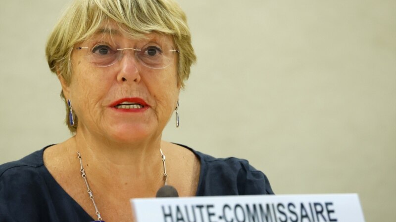 UN Human Rights Chief Calls for Freeze on Some Artificial Intelligence Systems