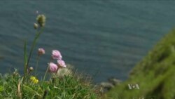 TECH: Buscar vida en Marte, en terrenos de Inglaterra
