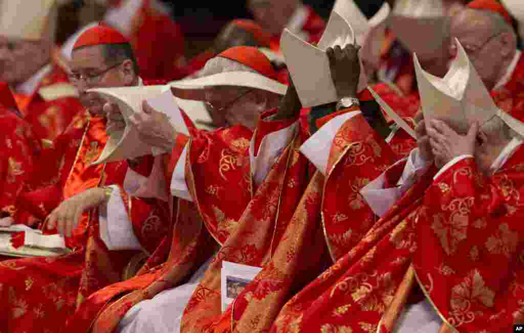 Cardinals hold their mitre hats as they attend a Mass for the election of a new pope celebrated by Cardinal Angelo Sodano inside St. Peter&#39;s Basilica, at the Vatican, March 12, 2013. 
