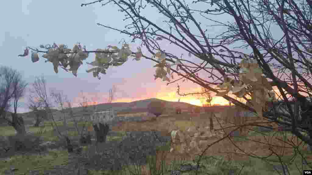 غروب آفتاب آخرین روز پاییز در روستای روشنایی شهرستان کمیجان استان مرکزی عکس: سیدعلی روشنایی (ارسالی شما) 