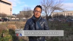 Kampung Amerika: Agro Wisata di Amerika