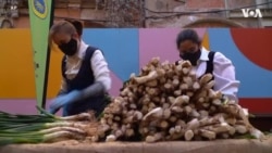 西班牙加泰罗尼亚大葱节庆祝民俗传统