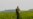 Smallholder Farmers Key to Food Security
