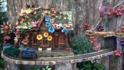 Scenic Wonderland Cheers Holiday Spirit at Botanic Garden