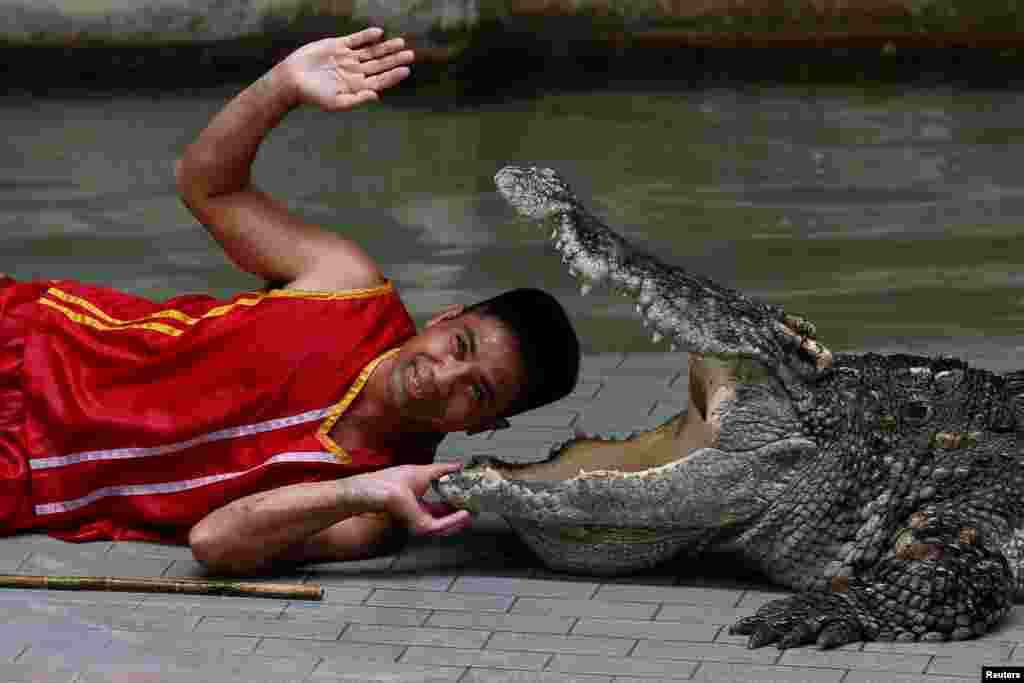 A zoo performer puts his head between the jaws of a crocodile during a performance for tourists at the Sriracha Tiger Zoo, in Chonburi province, east of Bangkok,Thailand.